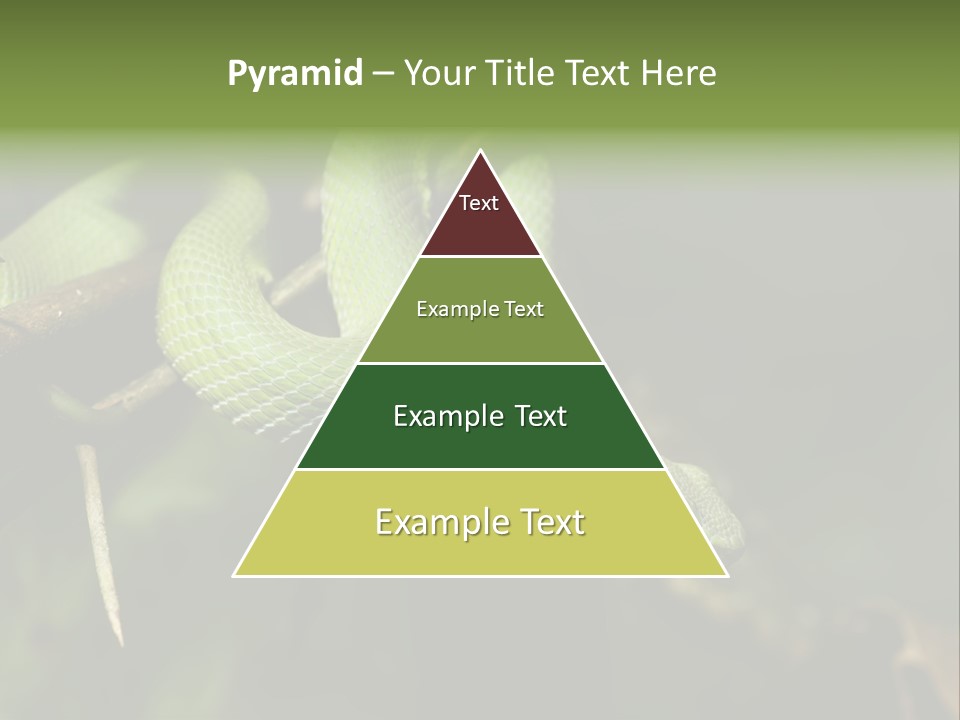 Garden Wild Snake PowerPoint Template