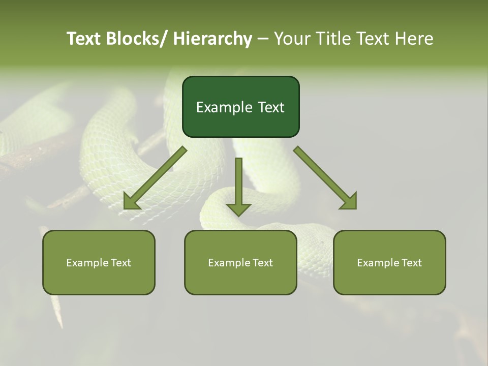 Garden Wild Snake PowerPoint Template