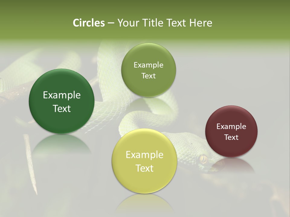 Garden Wild Snake PowerPoint Template