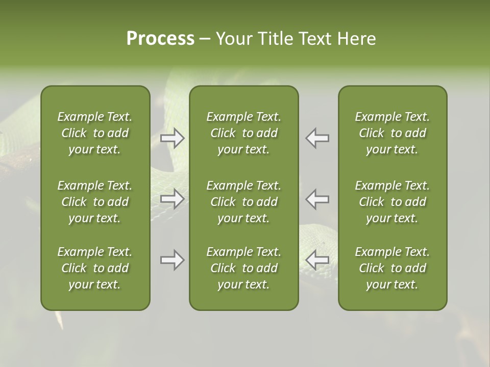 Garden Wild Snake PowerPoint Template