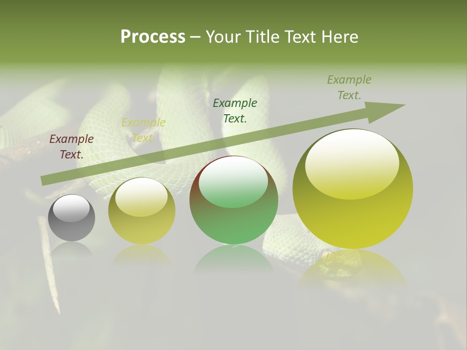 Garden Wild Snake PowerPoint Template