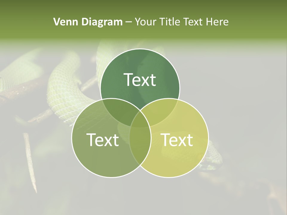 Garden Wild Snake PowerPoint Template