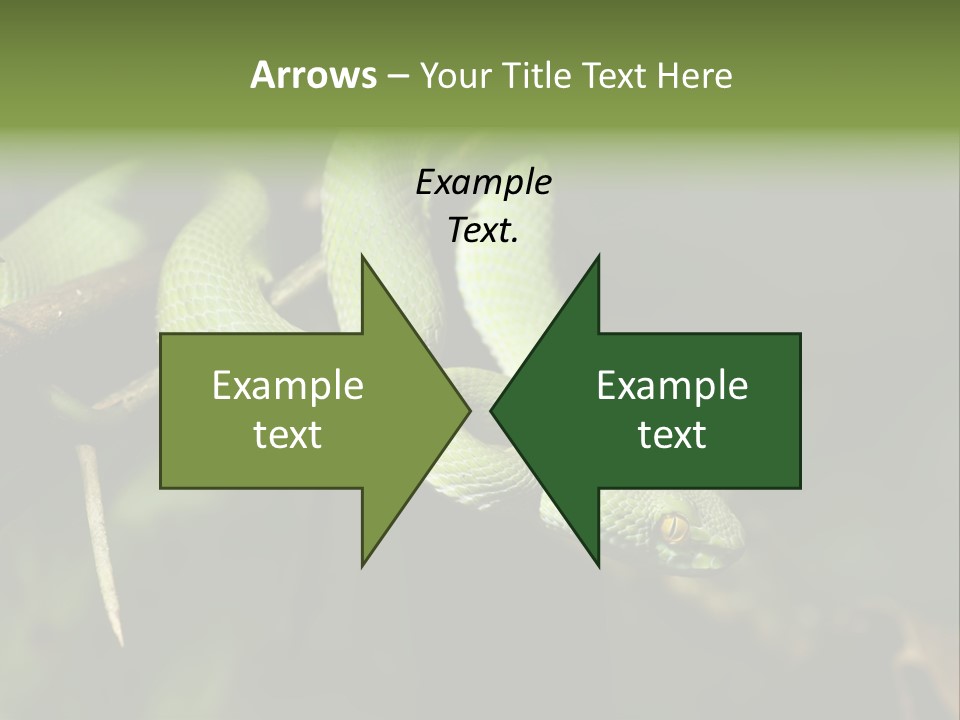 Garden Wild Snake PowerPoint Template