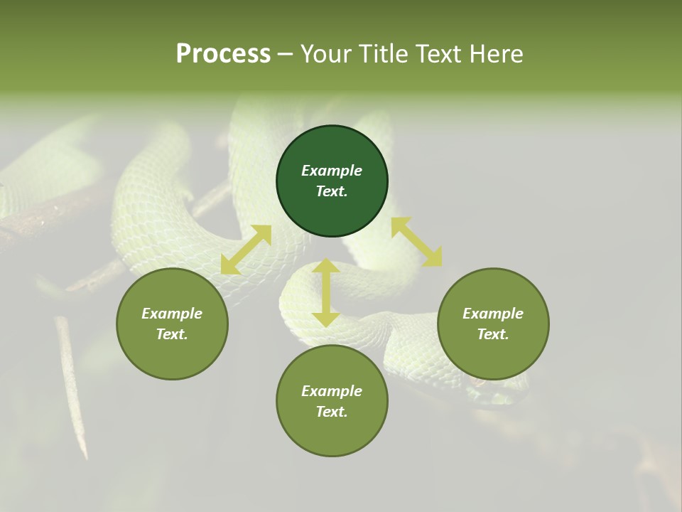 Garden Wild Snake PowerPoint Template