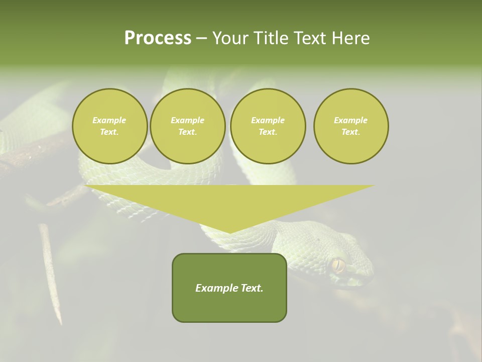 Garden Wild Snake PowerPoint Template