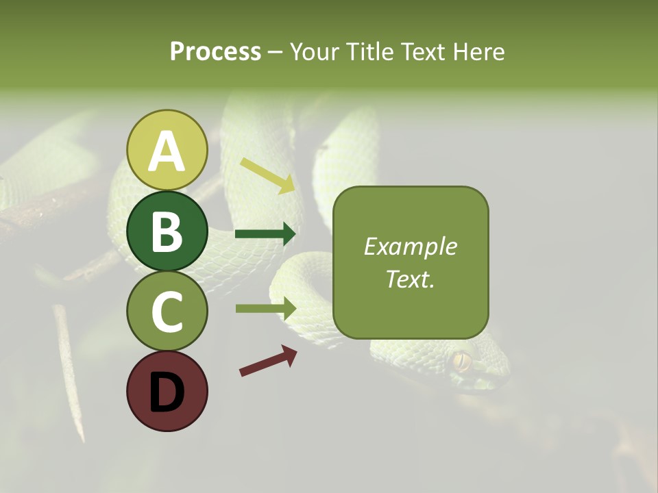 Garden Wild Snake PowerPoint Template