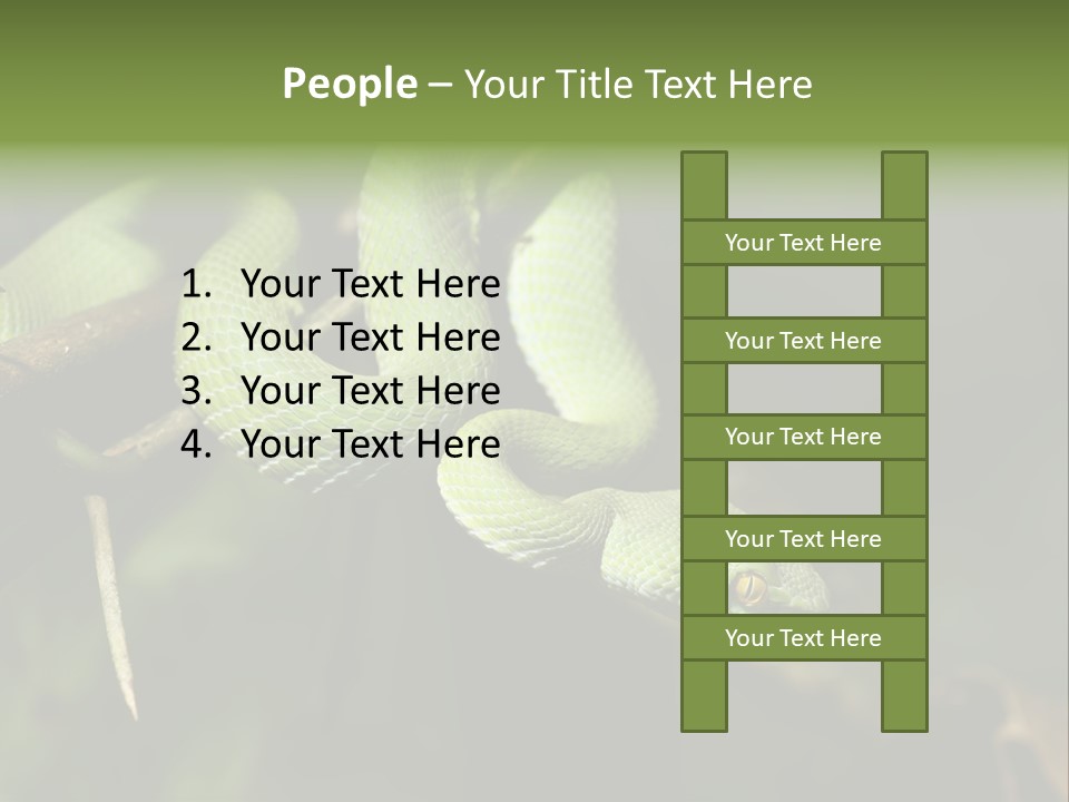 Garden Wild Snake PowerPoint Template