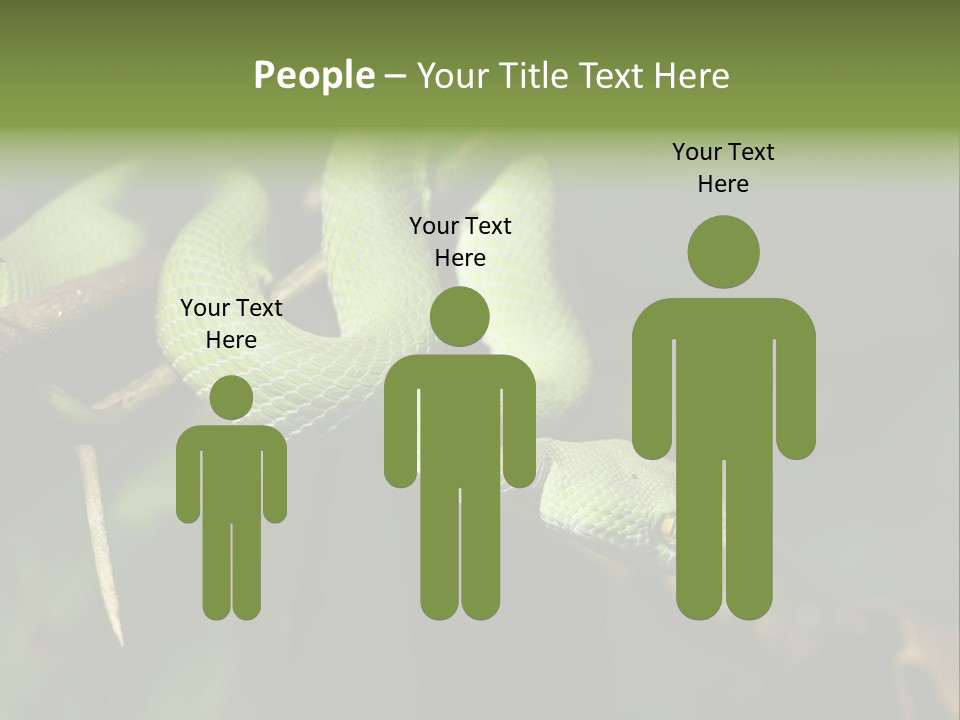 Garden Wild Snake PowerPoint Template