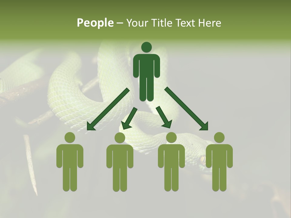 Garden Wild Snake PowerPoint Template