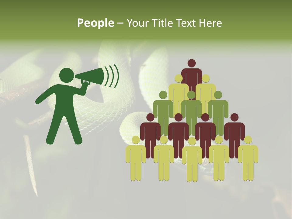 Garden Wild Snake PowerPoint Template