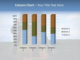 Lifestyle Sustainable Grass PowerPoint Template