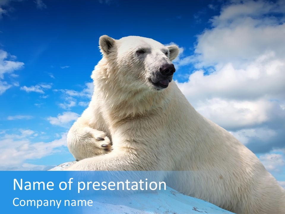 North Nature Mammal PowerPoint Template