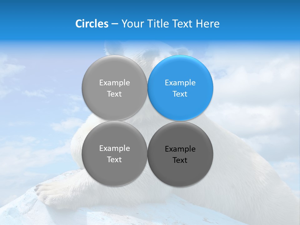 North Nature Mammal PowerPoint Template