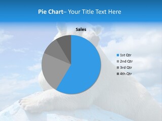 North Nature Mammal PowerPoint Template