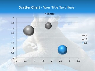 North Nature Mammal PowerPoint Template