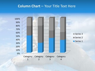 North Nature Mammal PowerPoint Template