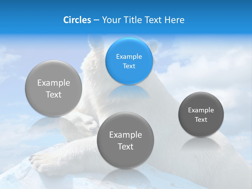 North Nature Mammal PowerPoint Template
