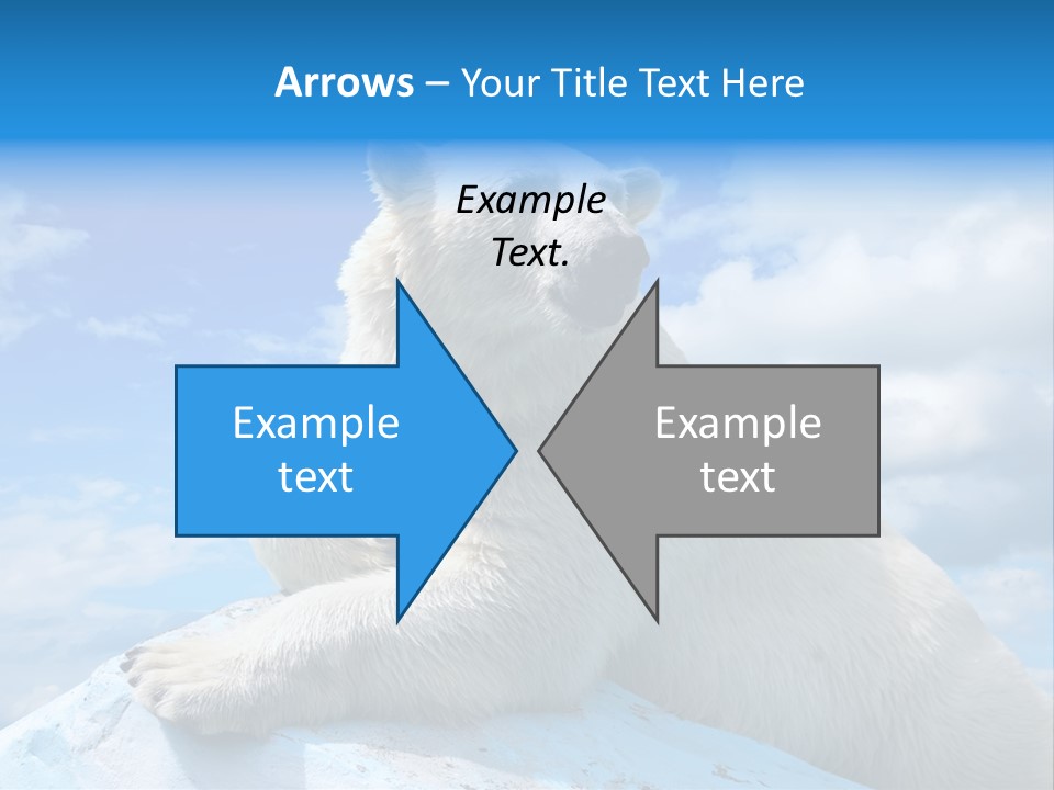 North Nature Mammal PowerPoint Template