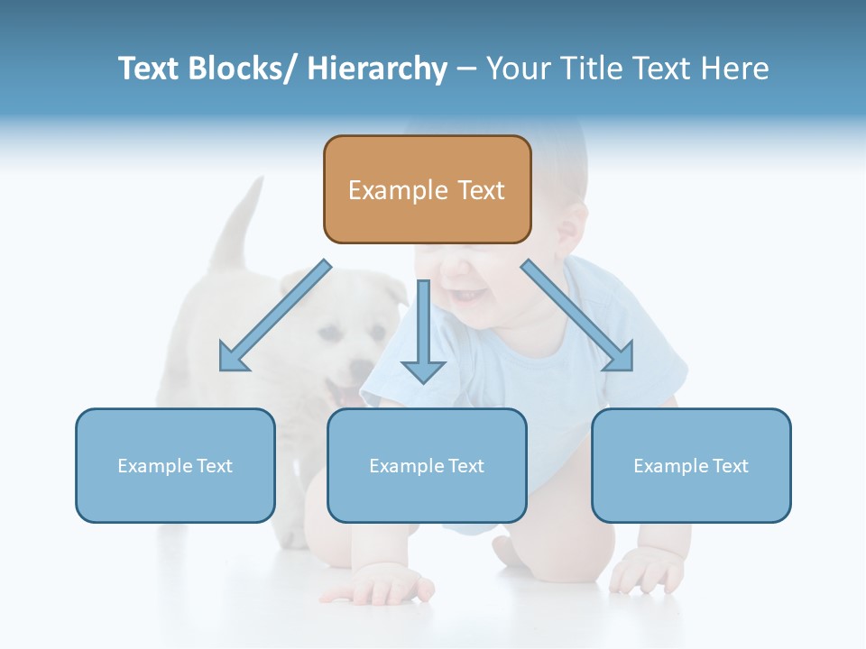 Affectionate Laughing Indoor PowerPoint Template