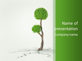 Crack Tree Of Life Nature PowerPoint Template