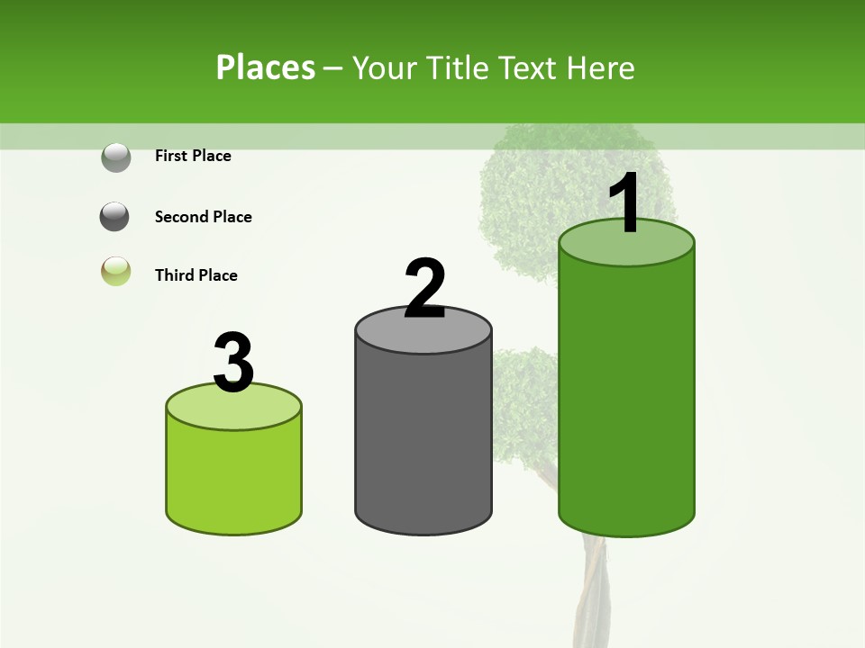 Crack Tree Of Life Nature PowerPoint Template