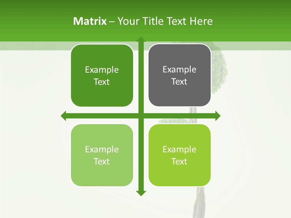 Crack Tree Of Life Nature PowerPoint Template