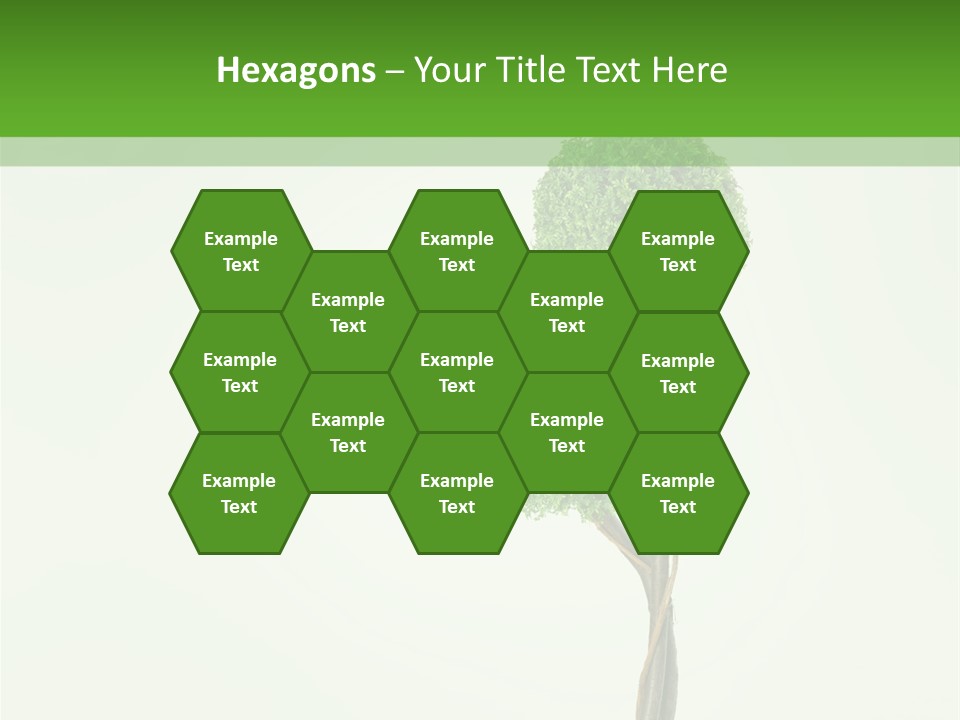 Crack Tree Of Life Nature PowerPoint Template