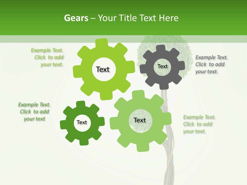 Crack Tree Of Life Nature PowerPoint Template