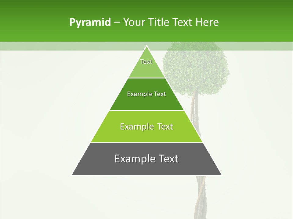 Crack Tree Of Life Nature PowerPoint Template