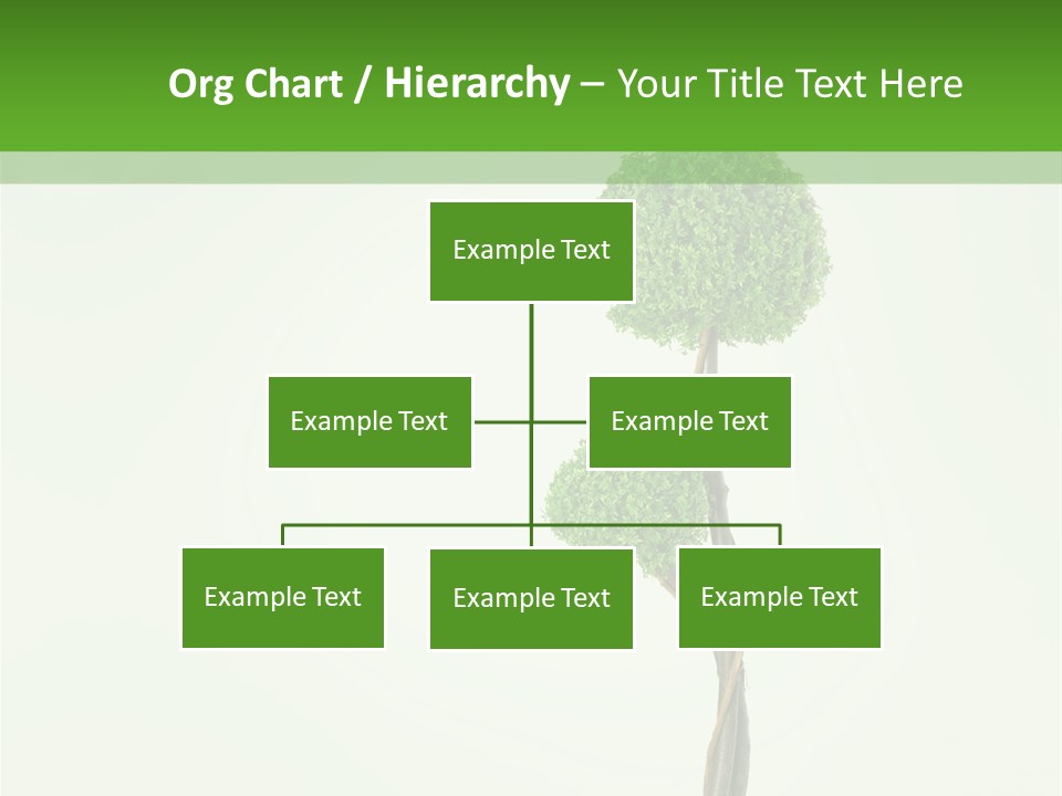 Crack Tree Of Life Nature PowerPoint Template