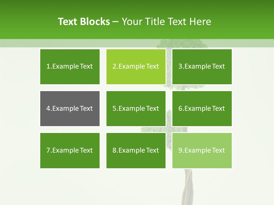 Crack Tree Of Life Nature PowerPoint Template