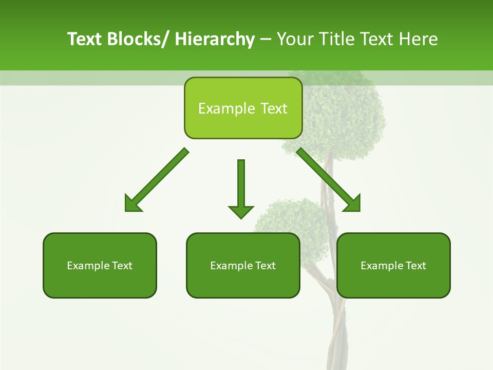 Crack Tree Of Life Nature PowerPoint Template