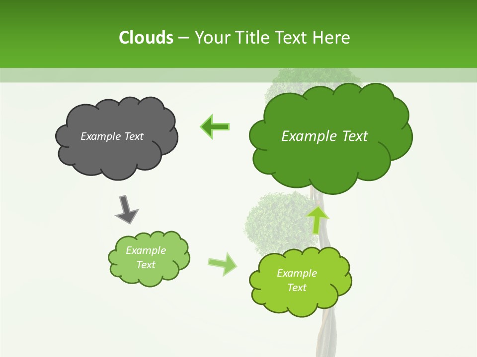Crack Tree Of Life Nature PowerPoint Template