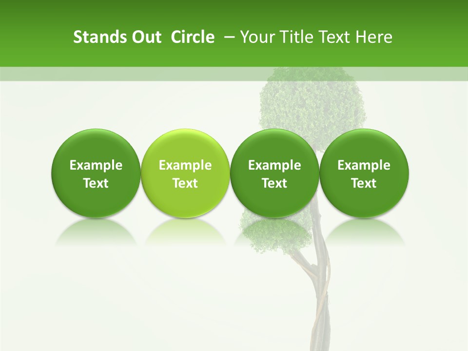 Crack Tree Of Life Nature PowerPoint Template