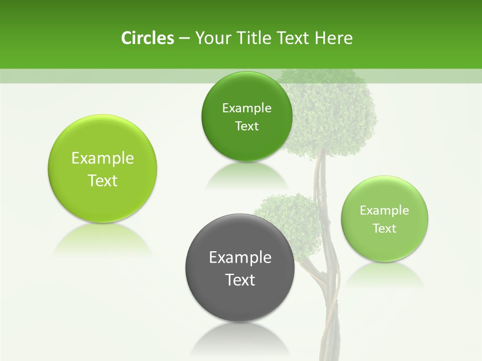 Crack Tree Of Life Nature PowerPoint Template