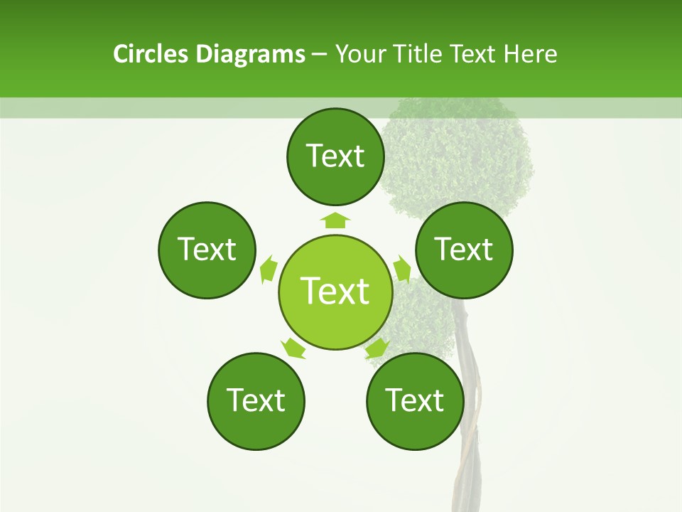 Crack Tree Of Life Nature PowerPoint Template