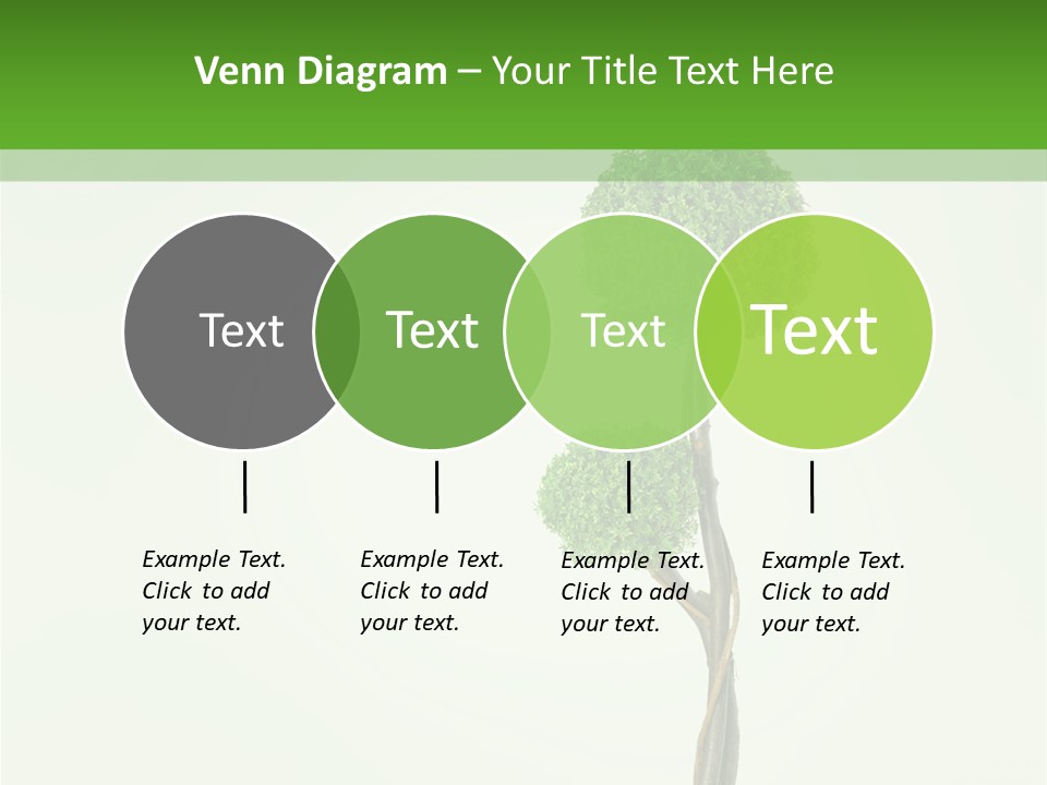 Crack Tree Of Life Nature PowerPoint Template