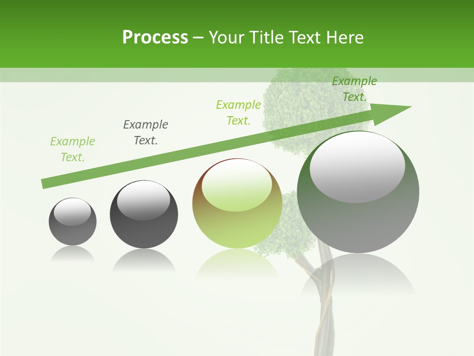 Crack Tree Of Life Nature PowerPoint Template