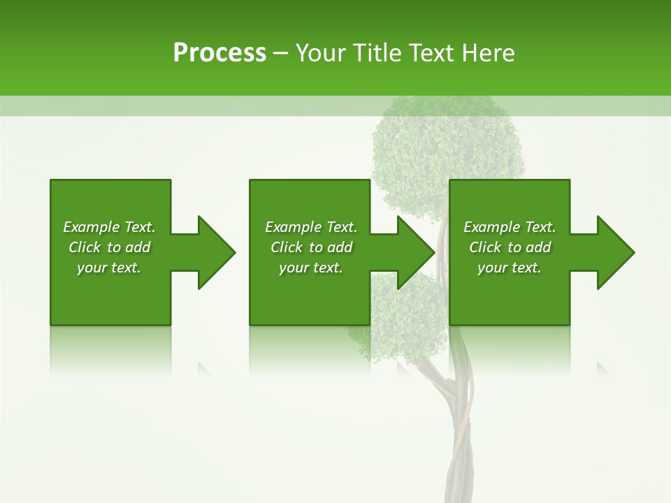 Crack Tree Of Life Nature PowerPoint Template