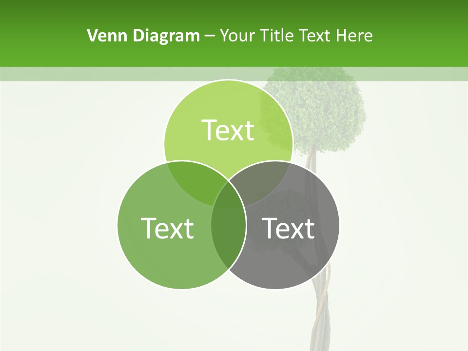 Crack Tree Of Life Nature PowerPoint Template