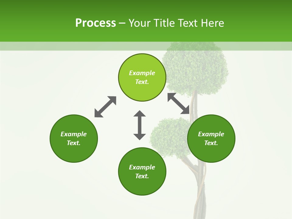 Crack Tree Of Life Nature PowerPoint Template