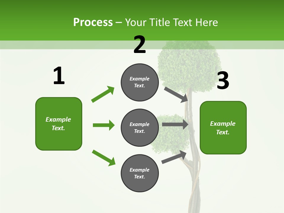 Crack Tree Of Life Nature PowerPoint Template