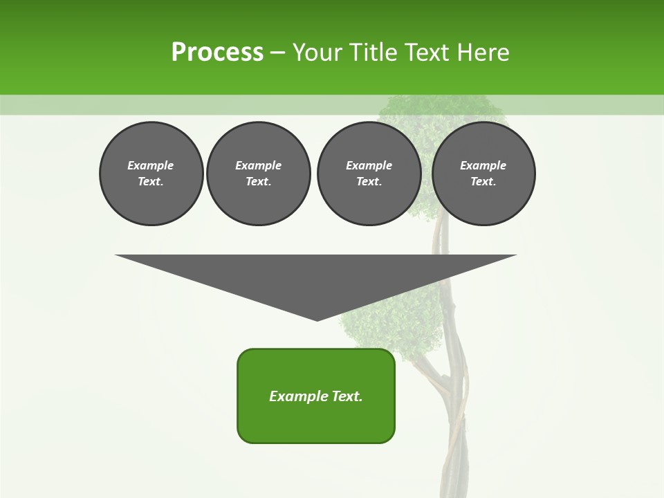 Crack Tree Of Life Nature PowerPoint Template