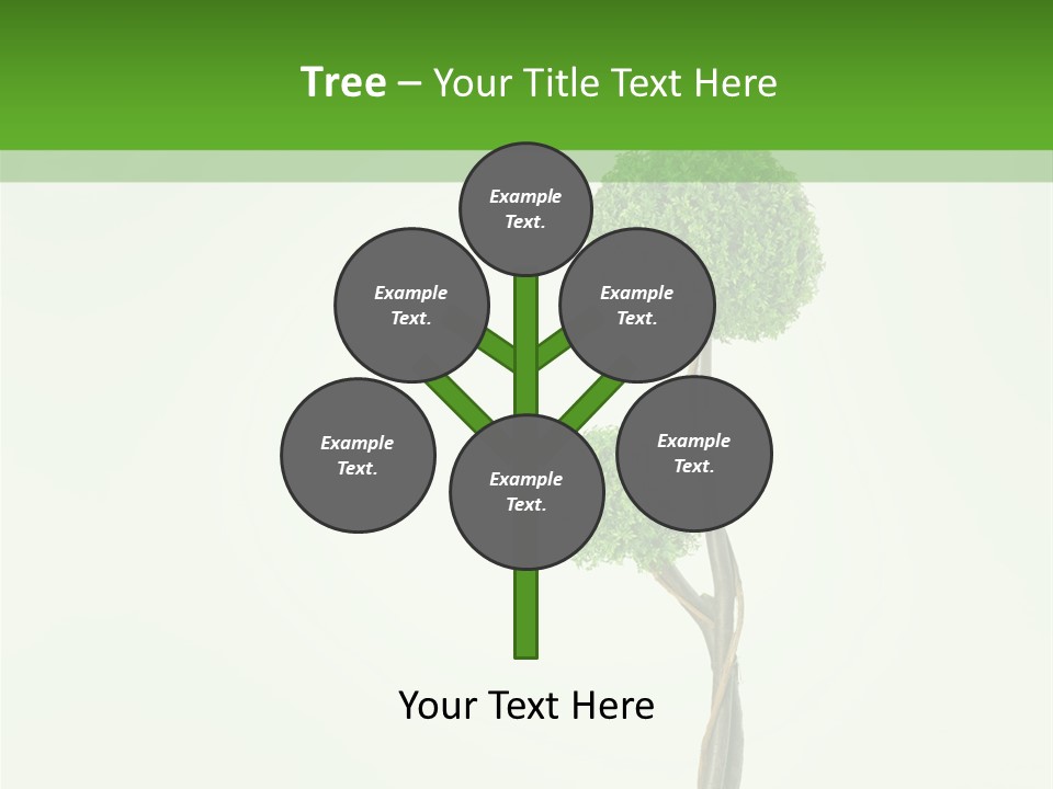 Crack Tree Of Life Nature PowerPoint Template