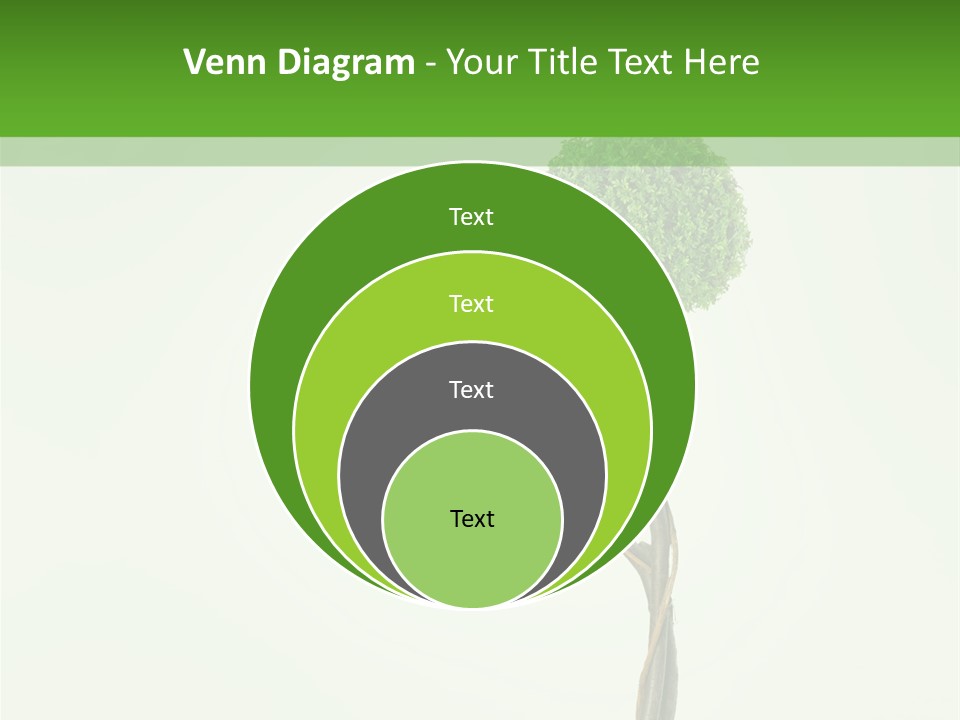 Crack Tree Of Life Nature PowerPoint Template