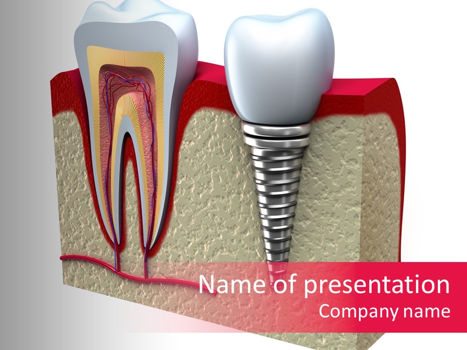 Corona Isolated Jaw PowerPoint Template