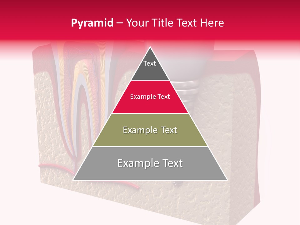Corona Isolated Jaw PowerPoint Template