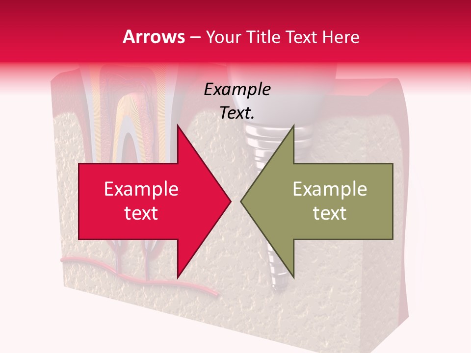 Corona Isolated Jaw PowerPoint Template