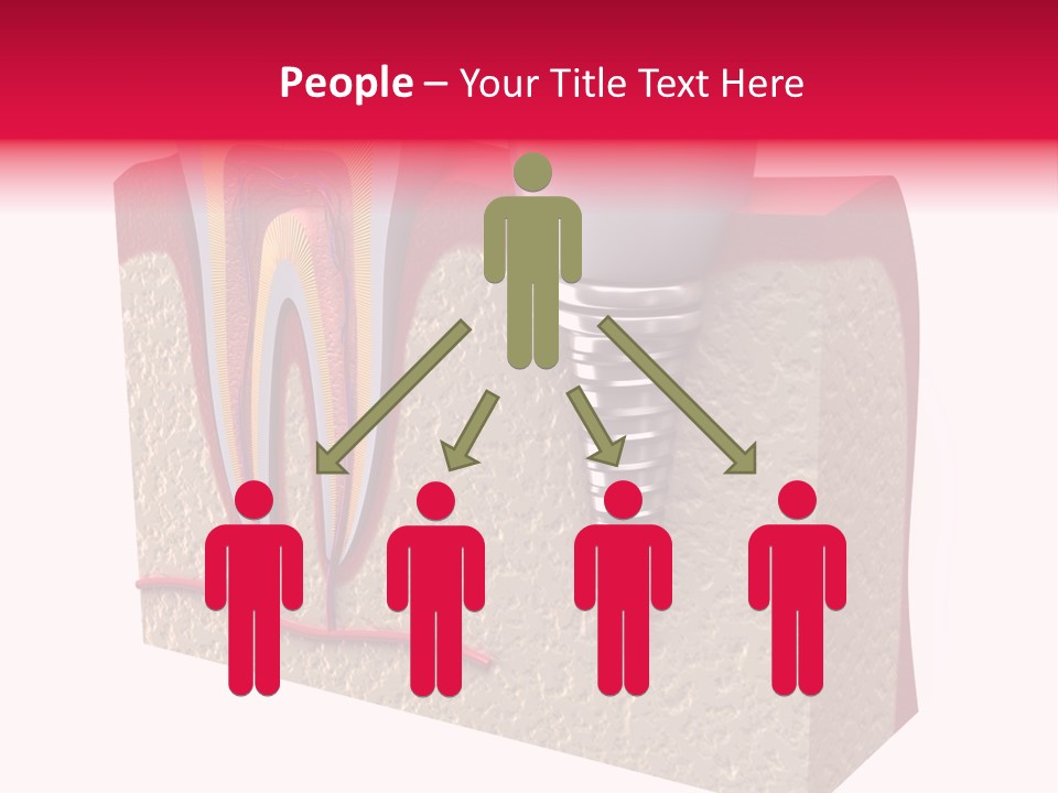 Corona Isolated Jaw PowerPoint Template