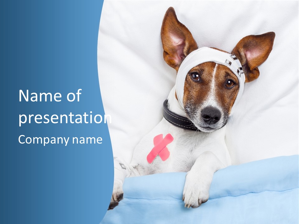 Pain Fever Sleep PowerPoint Template